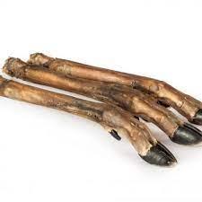 Deer Leg - Roe / Small