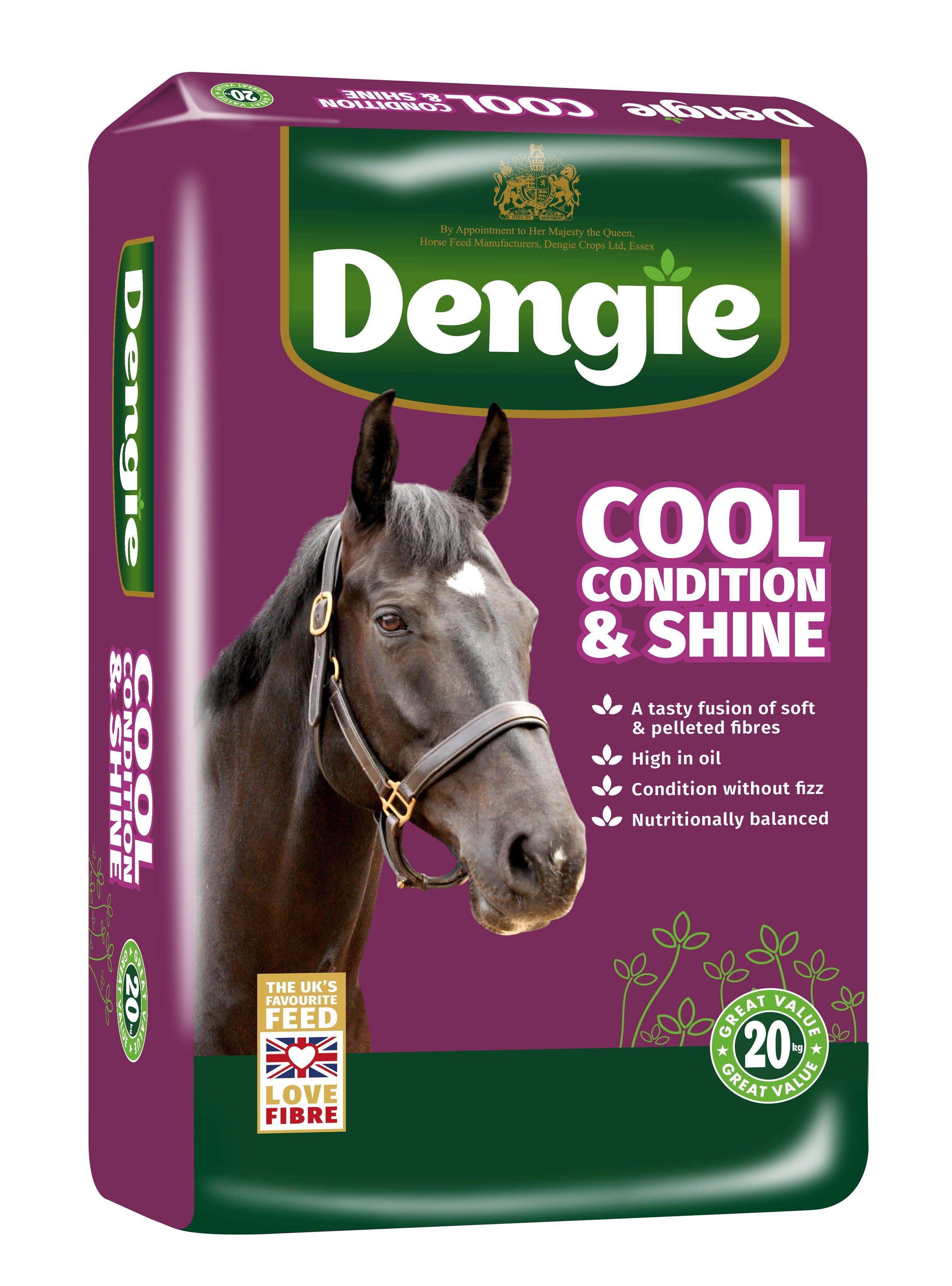 Dengie Cool Condition & Shine