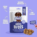 Denzel's Salmon & Berries Training Bites for dogs, 100g