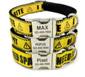Do Not Pet - I Need Space - I Bite - Collar & Lead Set (Free Engraving)