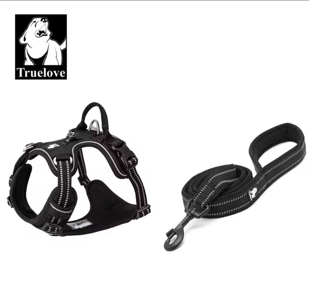 DogShackUK! True Love Harness & Lead