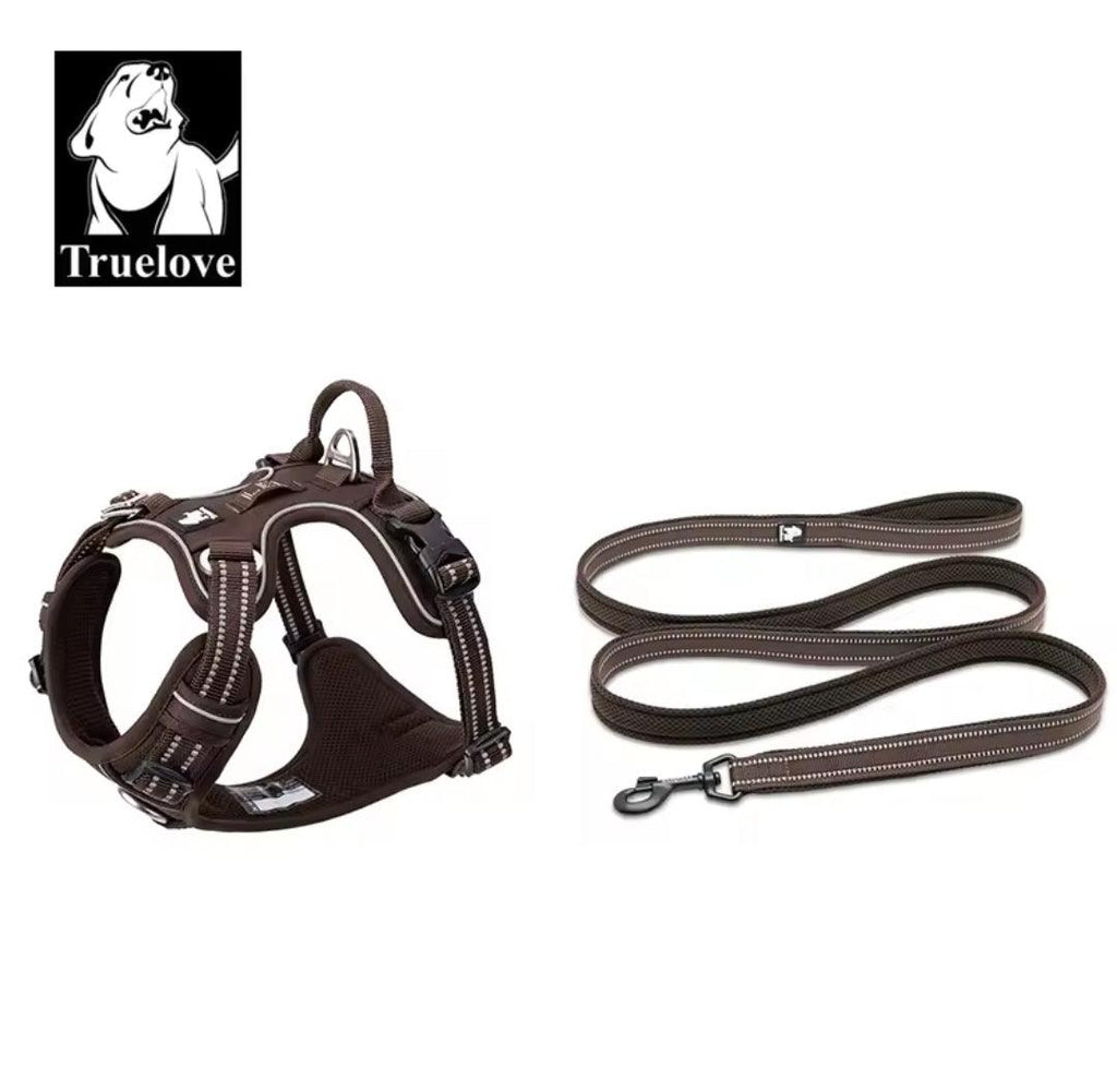DogShackUK! True Love Harness & Lead