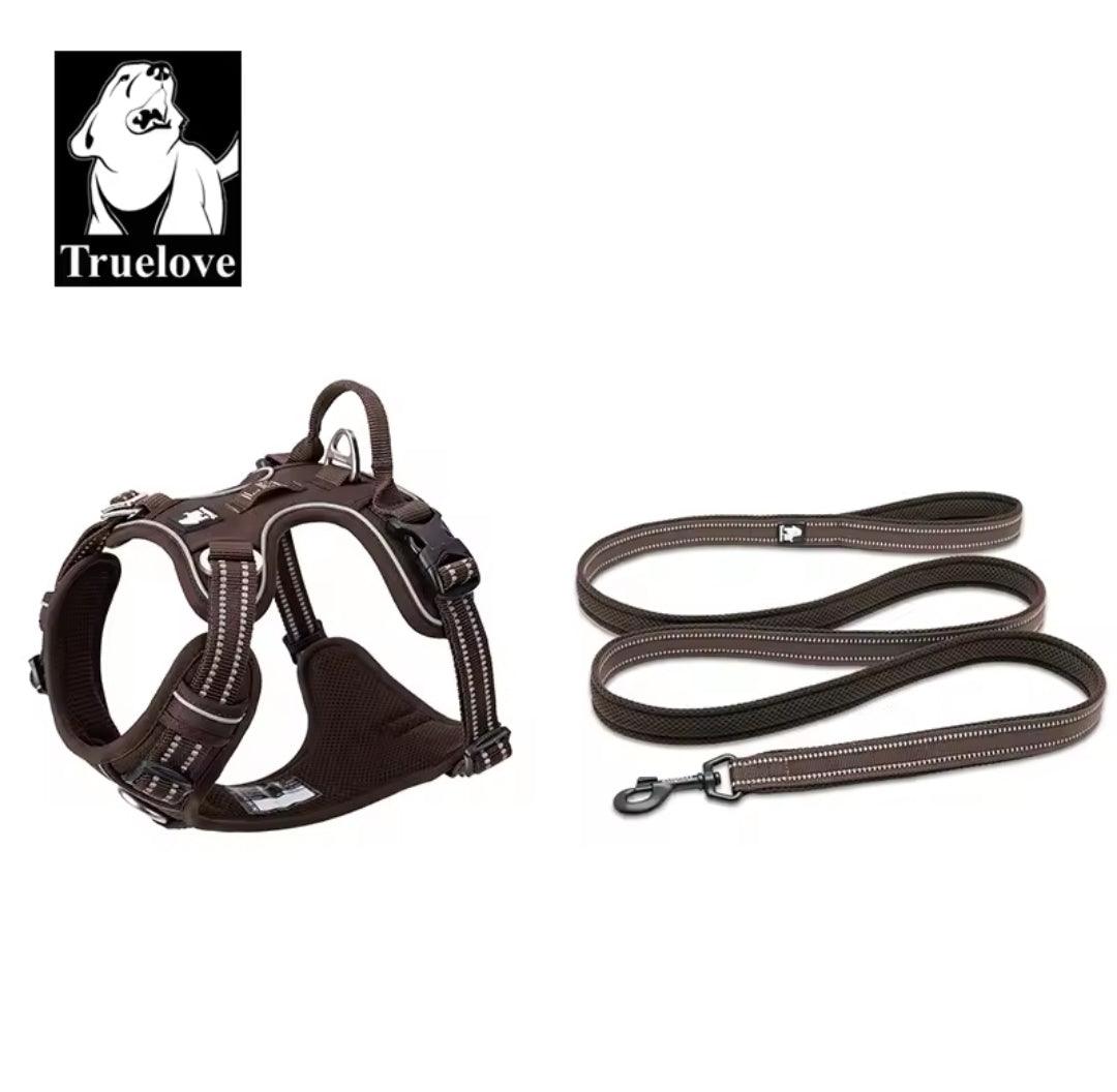 DogShackUK! True Love Harness & Lead