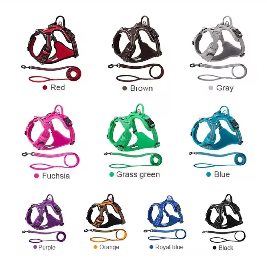 DogShackUK! True Love Harness & Lead
