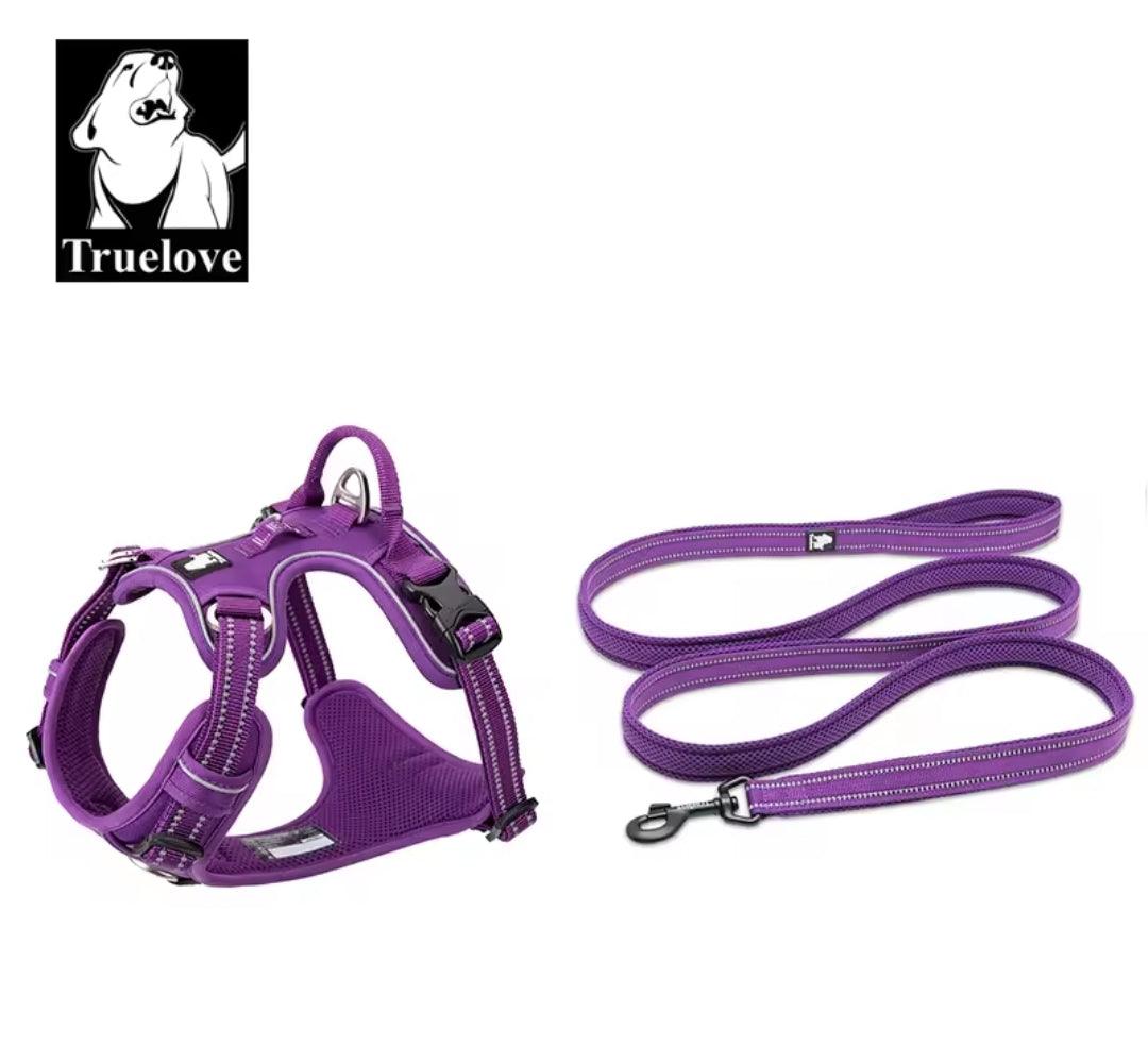 DogShackUK! True Love Harness & Lead