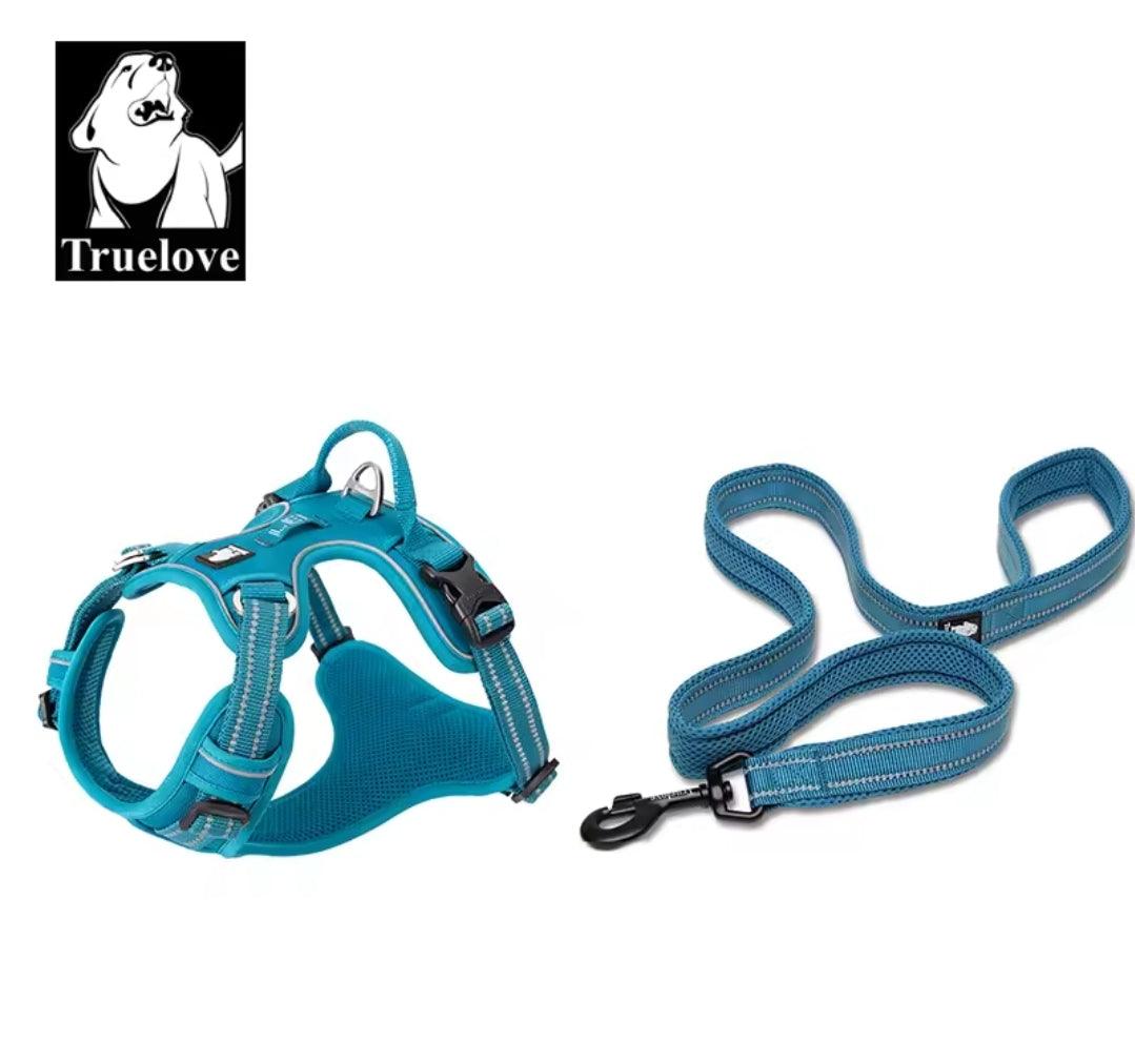 DogShackUK! True Love Harness & Lead