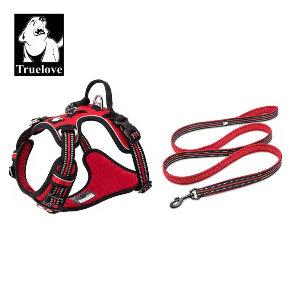 DogShackUK! True Love Harness & Lead