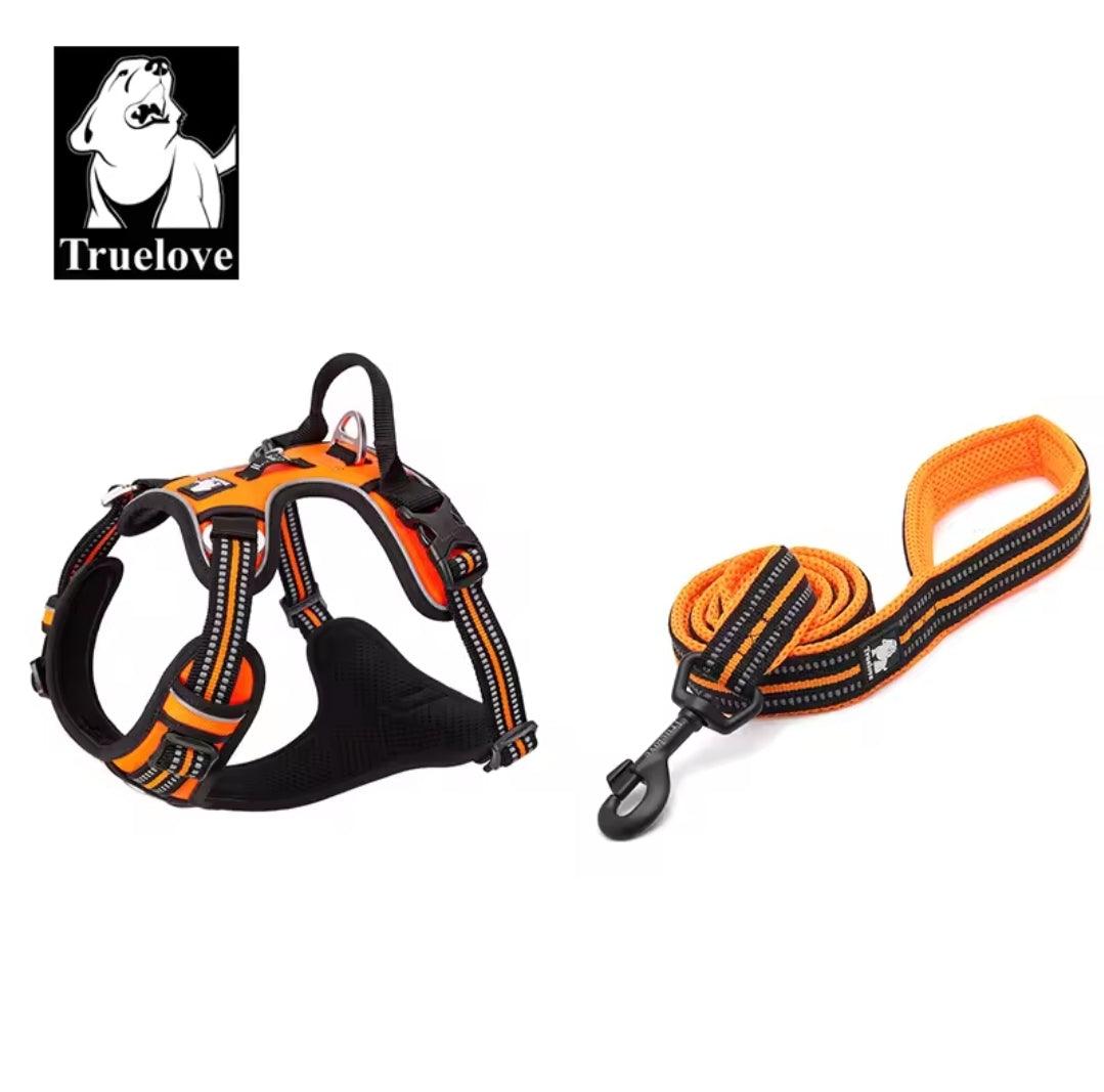 DogShackUK! True Love Harness & Lead