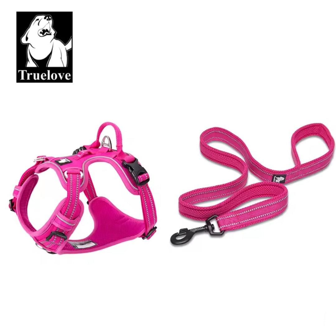 DogShackUK! True Love Harness & Lead