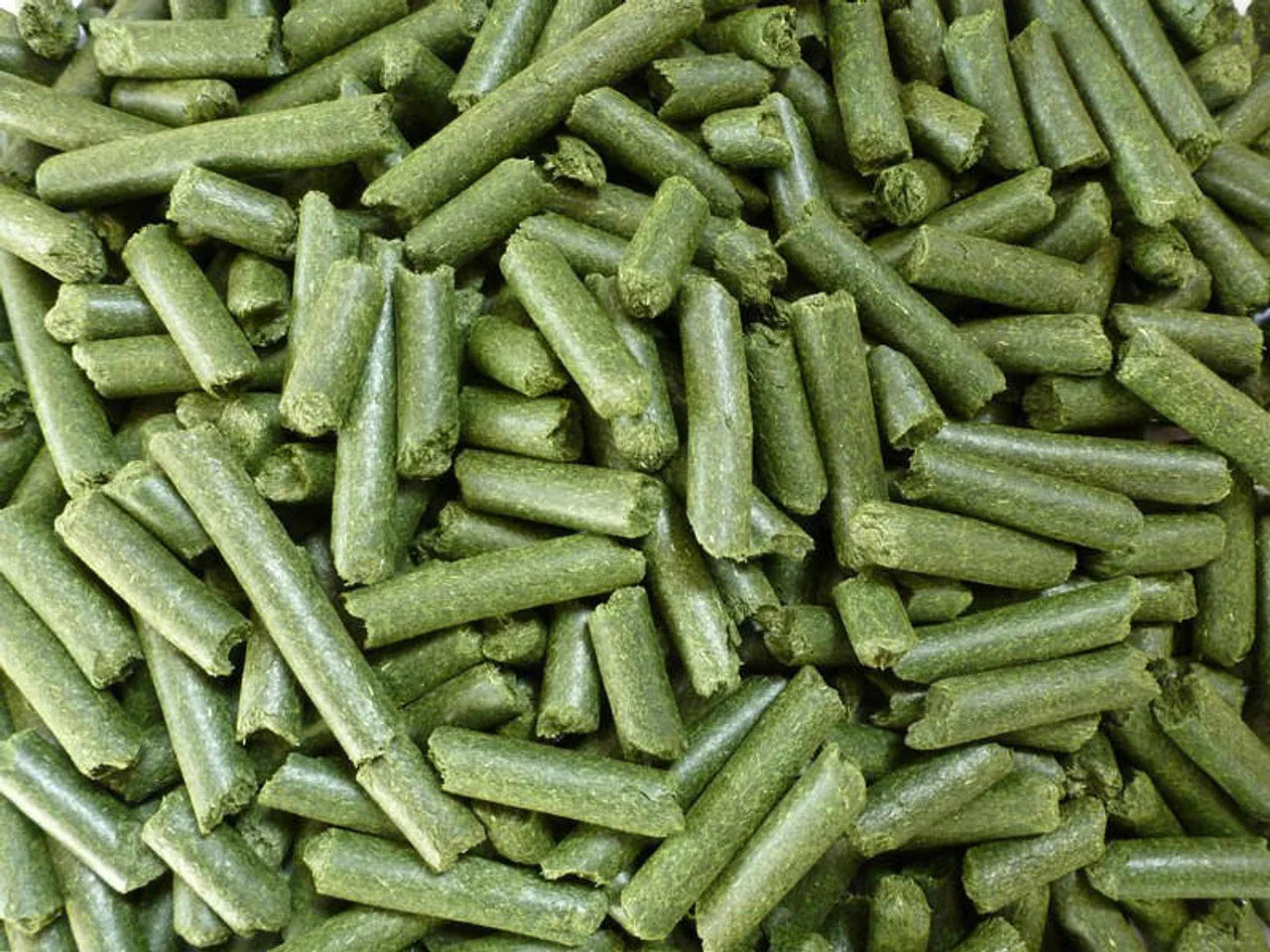 Meadow Grass Pellets Grazing Bag – 500g