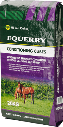 Equerry Conditioning Cubes