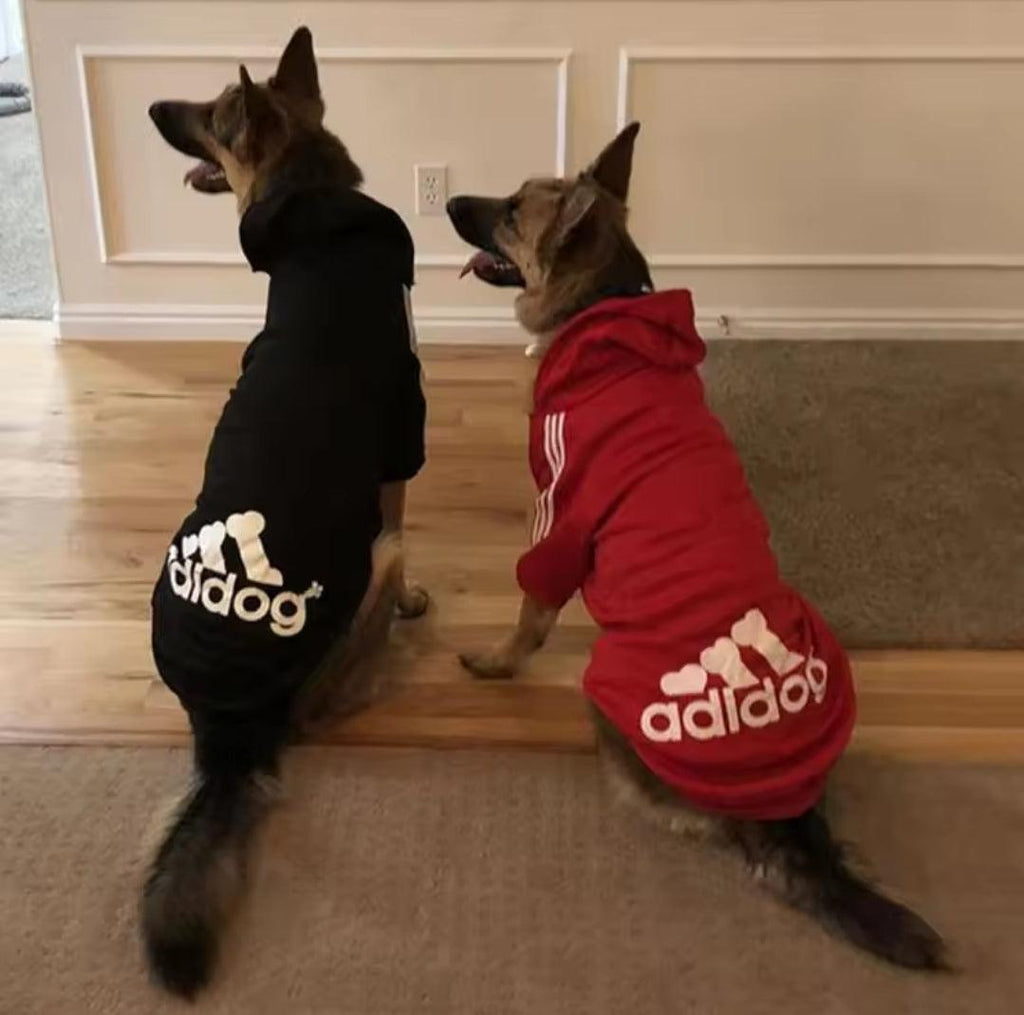Footy Dog Hoody!
