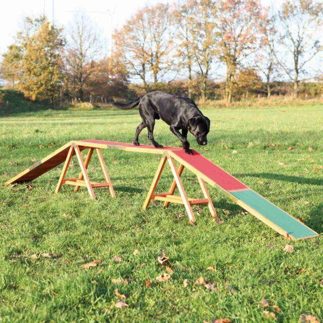 Fun Agility dogwalk