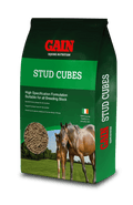 Gain Stud Cubes