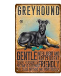 Greyhound Dog Tin Sign