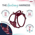 Halti Anatomy Harness Pink