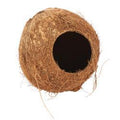 Hamster Coconut Hut