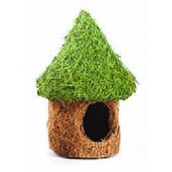 Hamster Tiki Hut