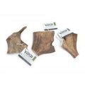 Highland Antler Fallow