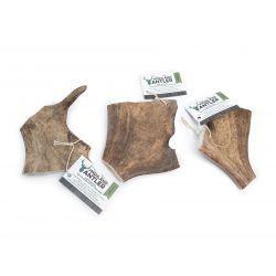 Highland Antler Fallow