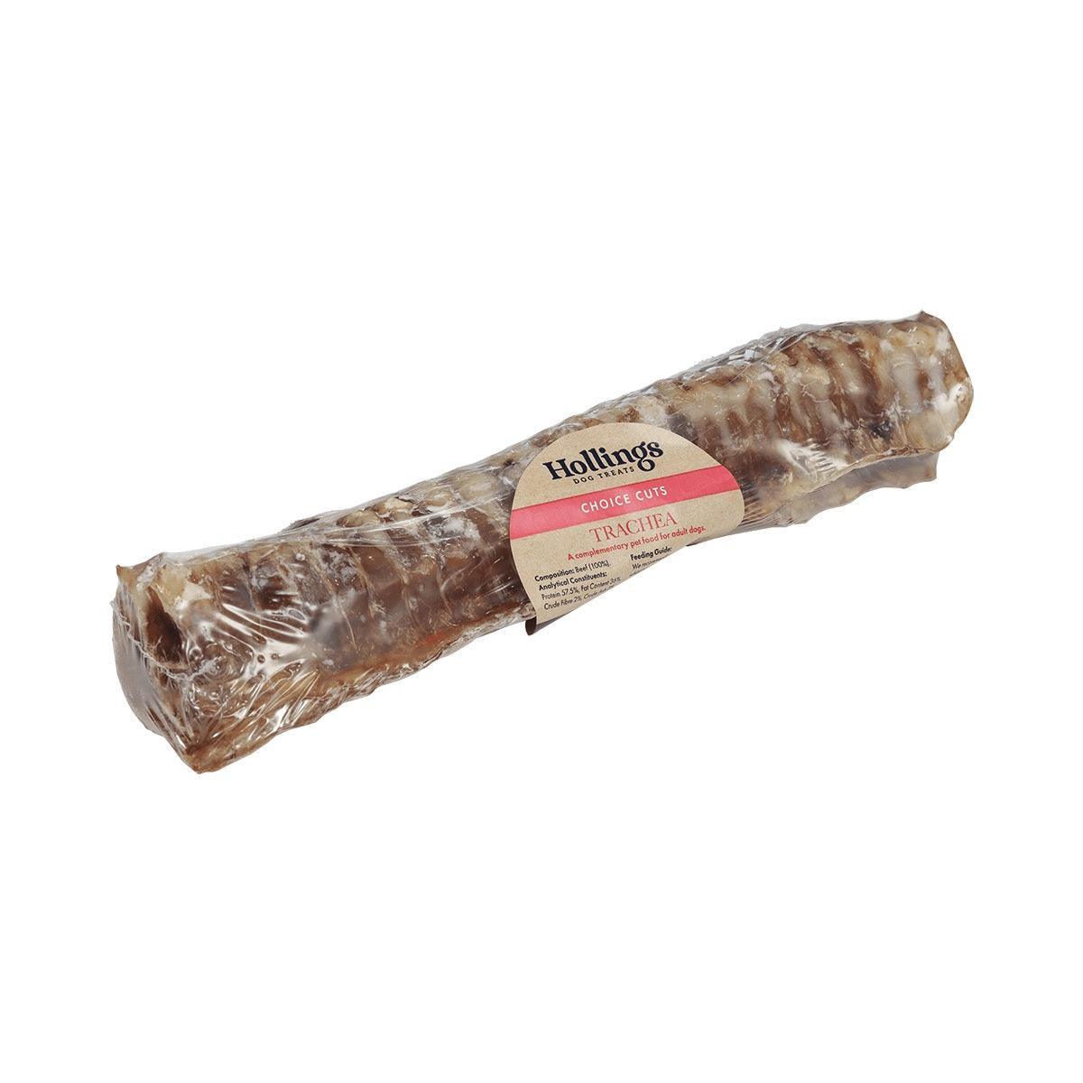 Hollings Trachea Large