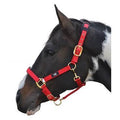 Hy Deluxe Padded Head Collar Red