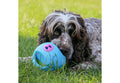 Interactive Treat Ball
