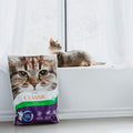 Intersand Classic Forest Pine 14kg