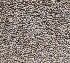 Johnston & Jeff Hemp Seed