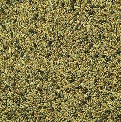 Johnston & Jeff Love Bird Feed
