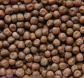 Johnston & Jeff Maple Peas