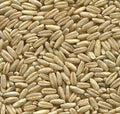 Johnston & Jeff Naked Oats