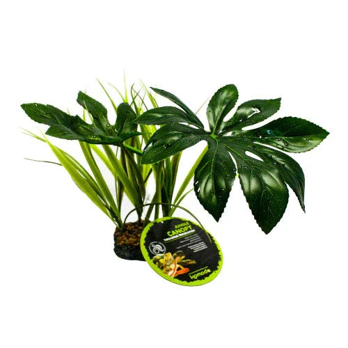 Komodo Jungle Canopy 42cm