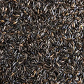 North East Pets Nigerseed 1kg