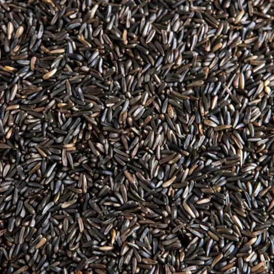 North East Pets Nigerseed 1kg