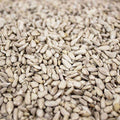 Sunflower Hearts 20kg