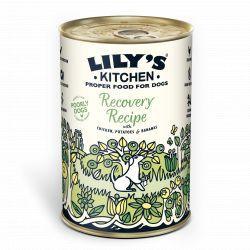 Lily's Kitchen Dog Recovery Recipe, 400g
