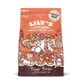 Lily's Kitchen Puppy Chicken & Salmon 2.5kg
