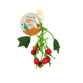 Little Friends Berry Nibble Hanger