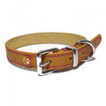 Lux Leather Tan Collar 10-14" x 1/2"