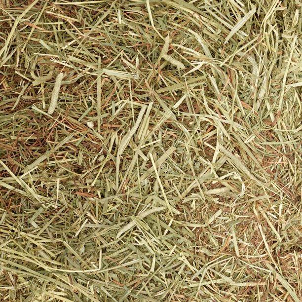 Meadow & Timothy XL Hay Bags