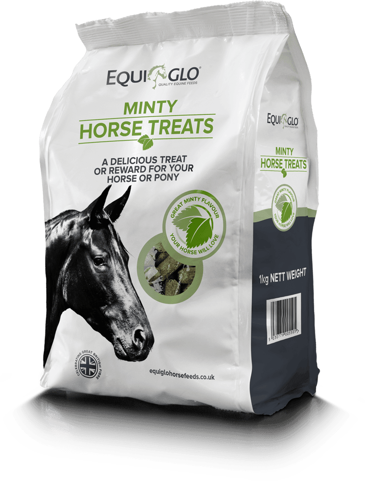 Mr Johnsons Equiglo Horse Treats & Herbs