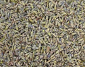 Lavender Flowers Grazing Bag – 200g