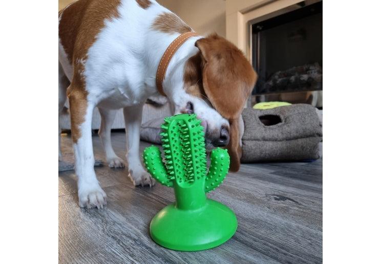 Orva Cactus Toothbrush CLEARANCE