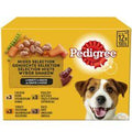 Pedigree Adult Wet Dog Food Pouches Mixed in Gravy 12pk, 100g