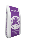 Pegasus Conditioning Cubes