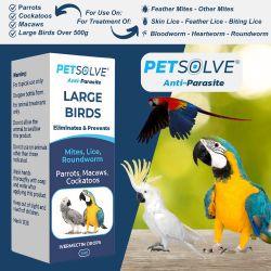 Petsolve Anti-Parasite Large Bird, 5ml