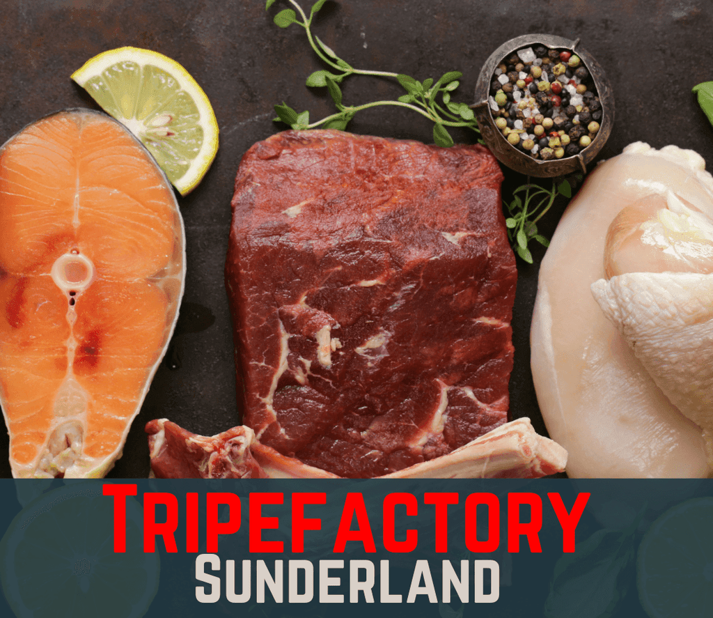 Pizzle (7 Inch) - Tripefactory Sunderland - Natural Dried Dog Treats
