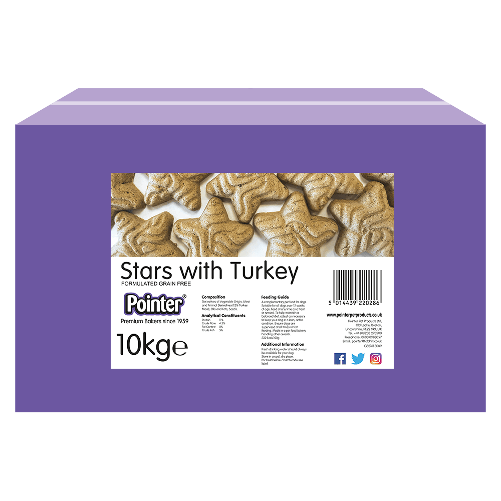 Pointer Stars with TurkeyPointer Stars with Turkey 10kg