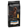 Pro Plan Dog Large Adult Chick